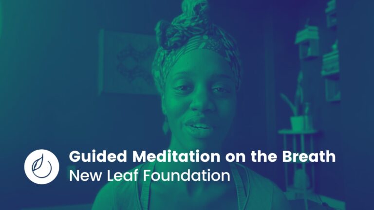 Guided Meditation on the Breath // New Leaf Foundation